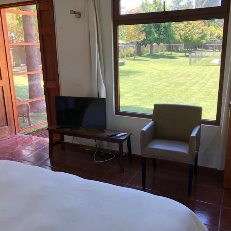 Casa Los Ciervos - Suite - 5