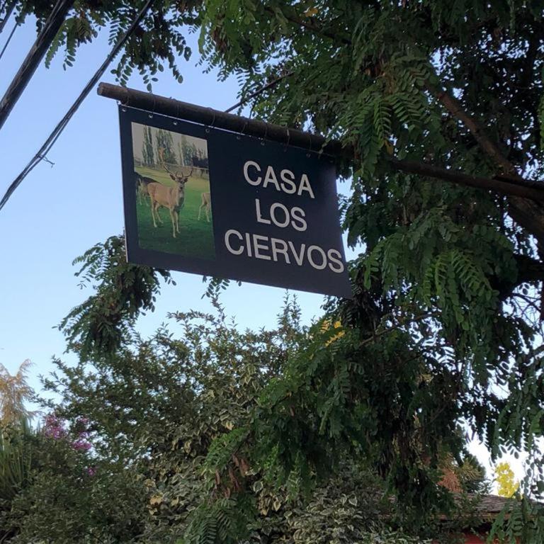 Casa Los Ciervos - Suite - 12