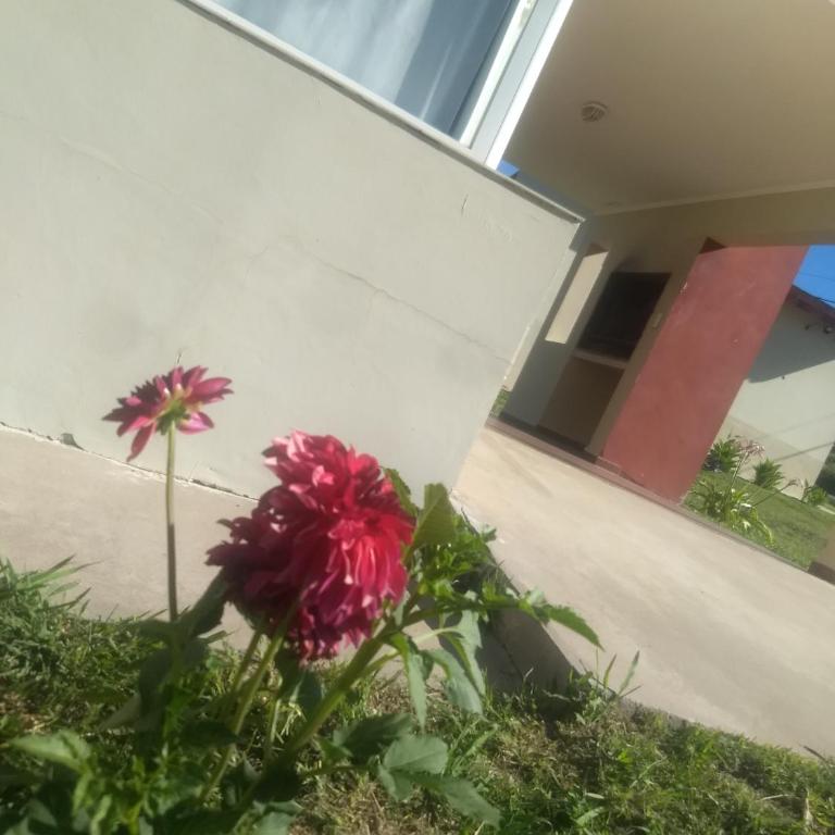 Cabañas Los Troncos - Two-Bedroom Chalet - 1