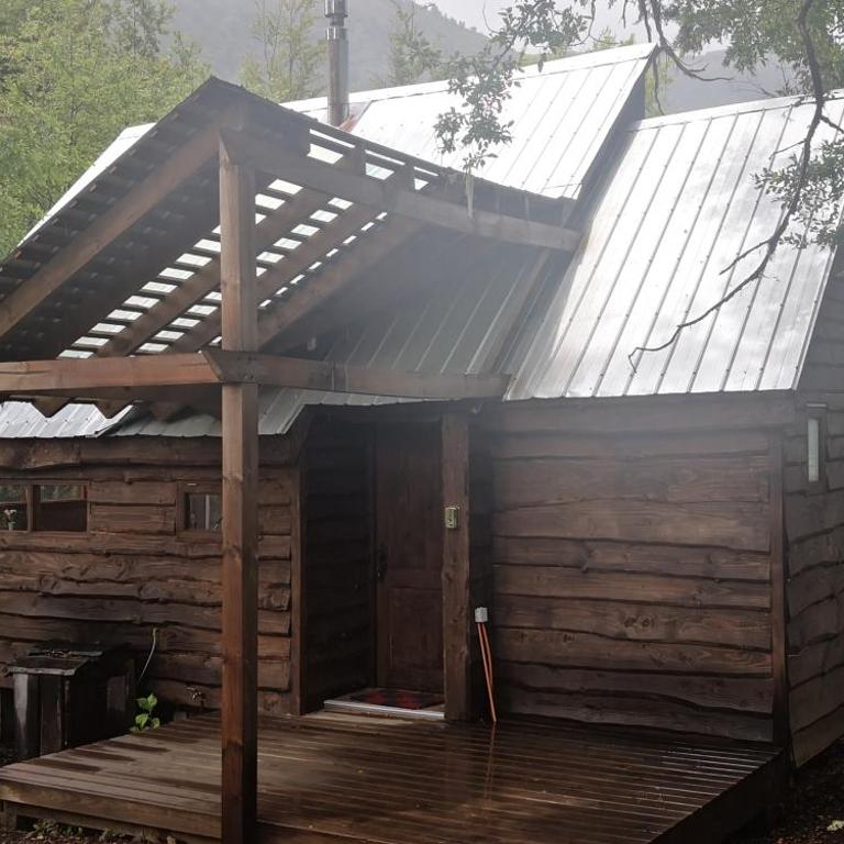 Lodge Palguin Alto - Superior Chalet - 1