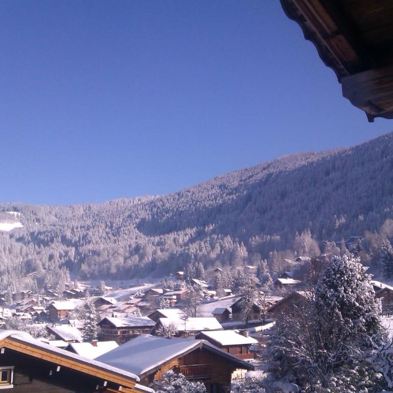Les Carroz Modern Alpine Chalet - central - Superior Chalet - 10