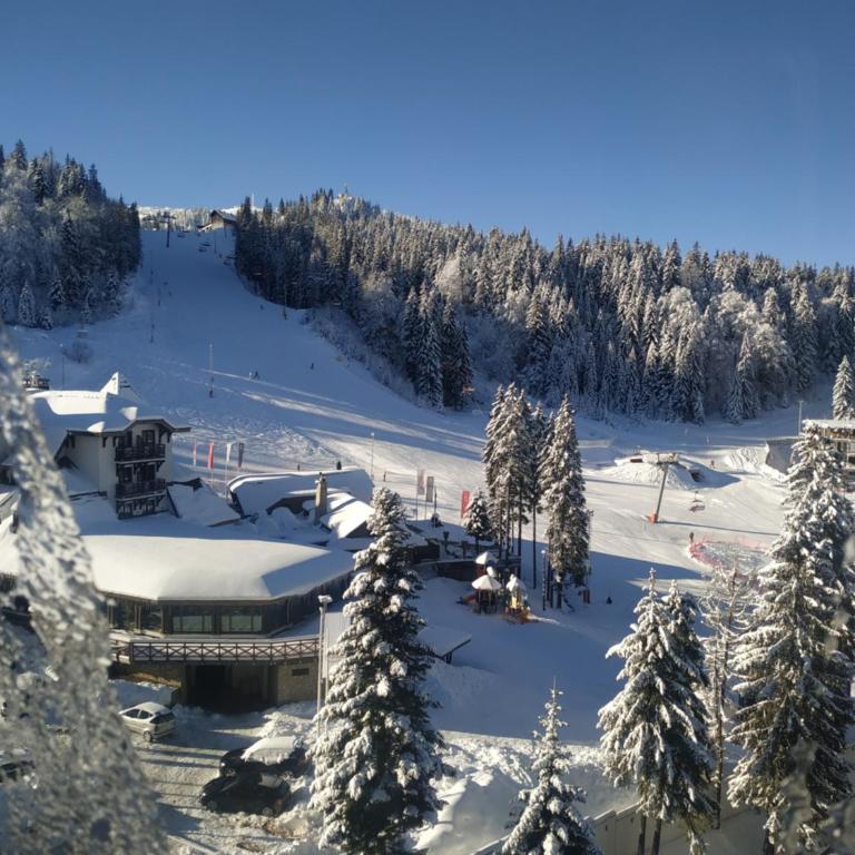 Apartman Lena - Olimpijska kuća Jahorina - One-Bedroom Apartment - 42