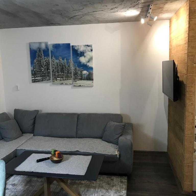 Suncani breg treska - Apartman sa 1 Spavaćom Sobom - 8