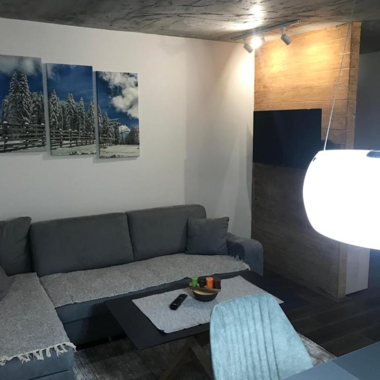 Suncani breg treska - Apartman sa 1 Spavaćom Sobom - 11