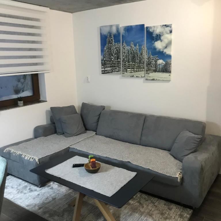 Suncani breg treska - Apartman sa 1 Spavaćom Sobom - 10