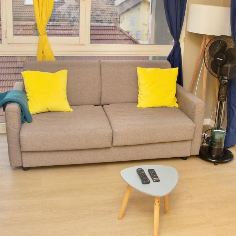 APPARTEMENT ENTRE GENÈVE ET CHAMONIX AU PIED DES MONTAGNES - Appartement 1 Chambre - 3