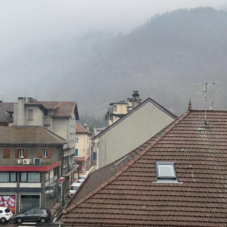 APPARTEMENT ENTRE GENÈVE ET CHAMONIX AU PIED DES MONTAGNES - Appartement 1 Chambre - 24