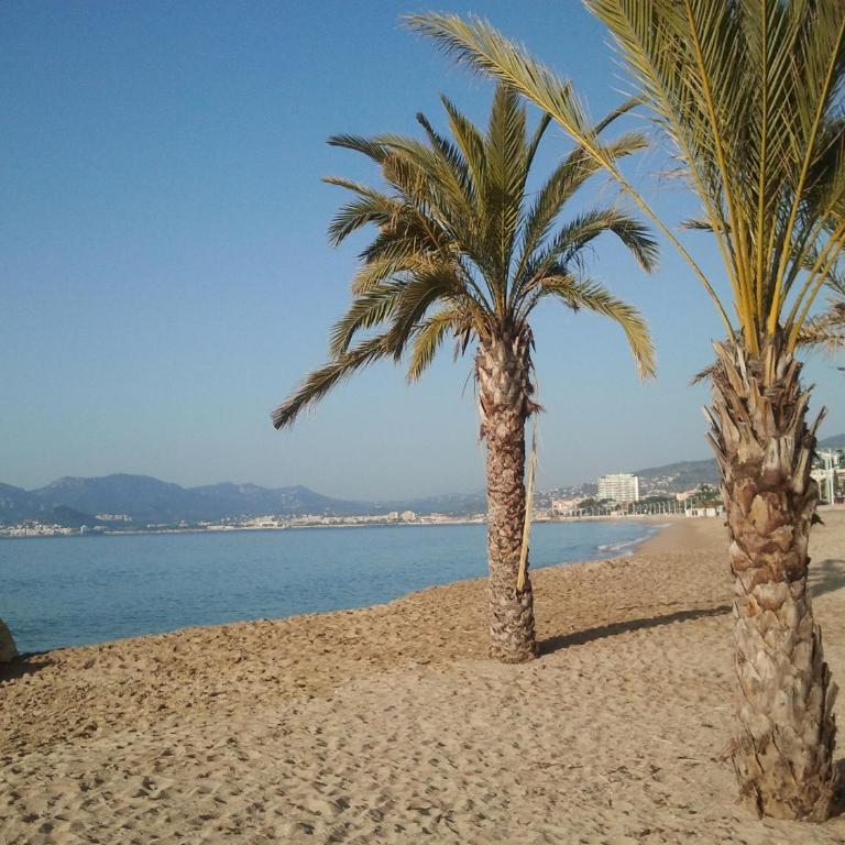 Holiday or Congress, Centre - Beach - Appartement avec Balcon - 31