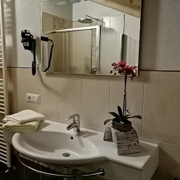 Chalet Freita - Appartamento - 3