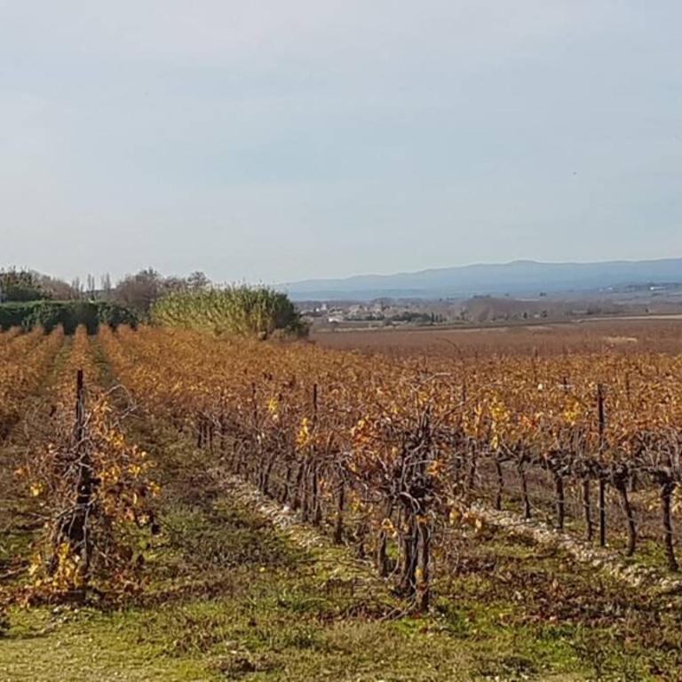 La cabane - Villa - 57