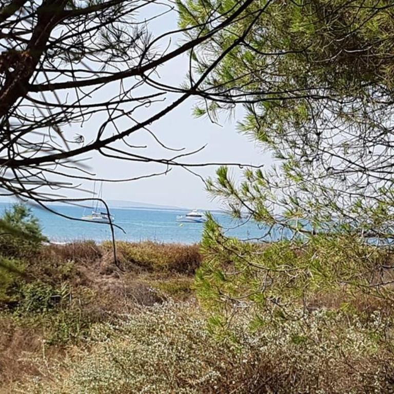 La cabane - Villa - 51