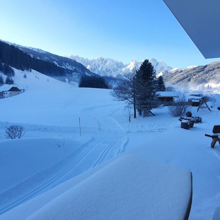 Haus Friedrich - Superior Chalet - 21