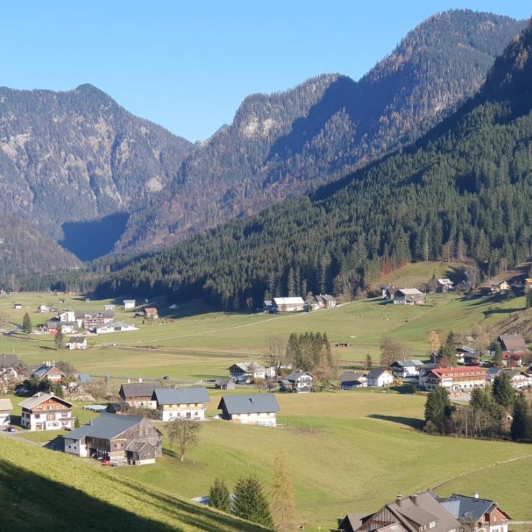 Haus Friedrich - Superior Chalet - 24