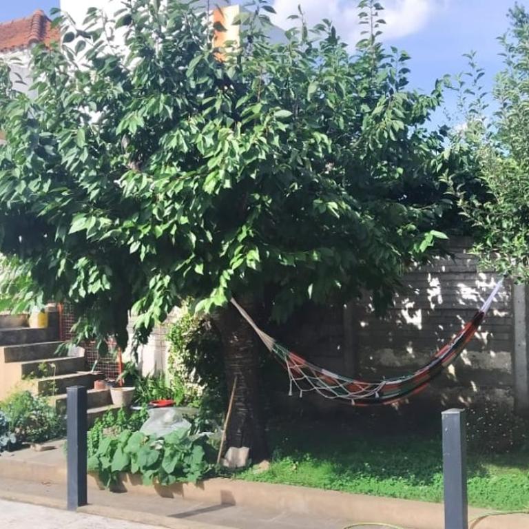 Departamento - One-Bedroom Apartment - 10