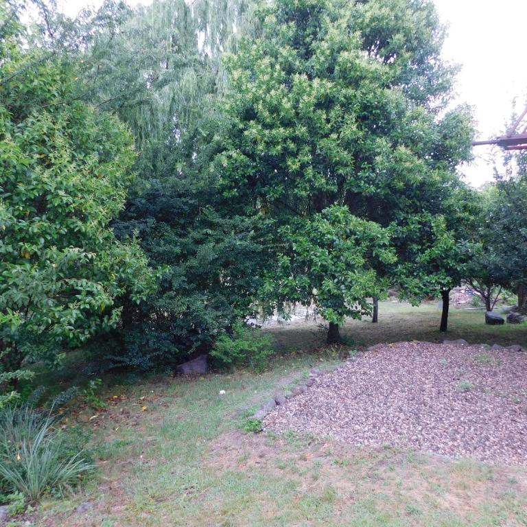 7 esencias - Two-Bedroom Chalet - 42