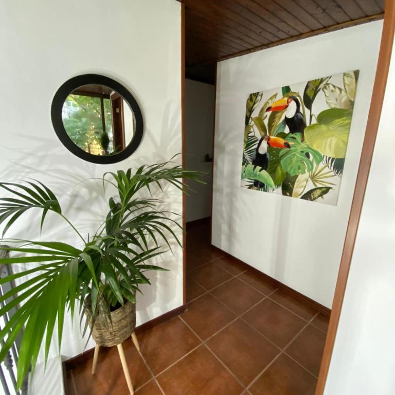 Old Town House La Laguna - Casa de 2 dormitorios - 6