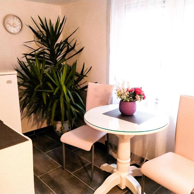APARTMAN ANDREA 4 - Apartman sa 2 Spavaće Sobe - 8