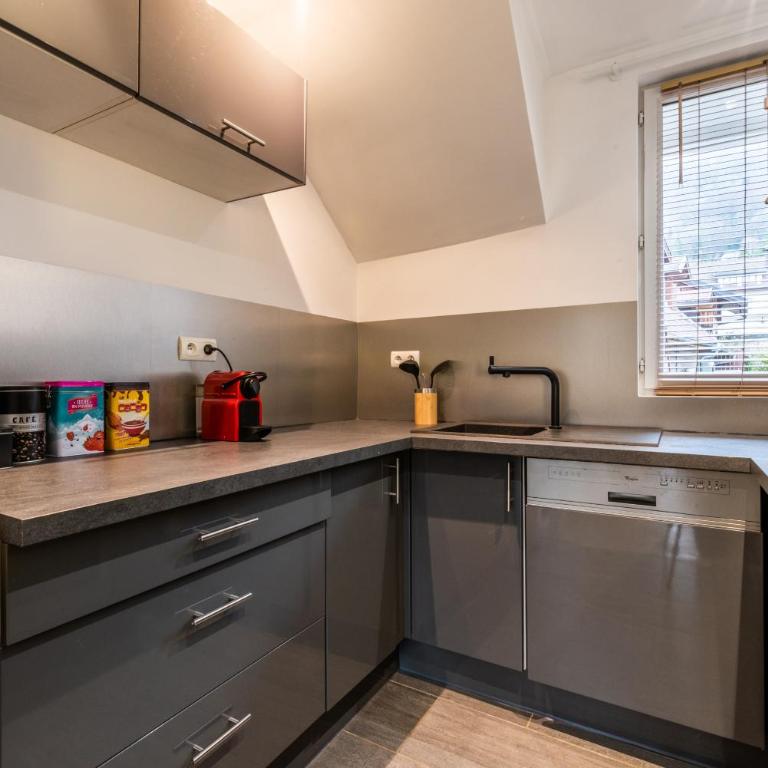 Le grand duplex du lac - Appartement 1 Chambre - 8