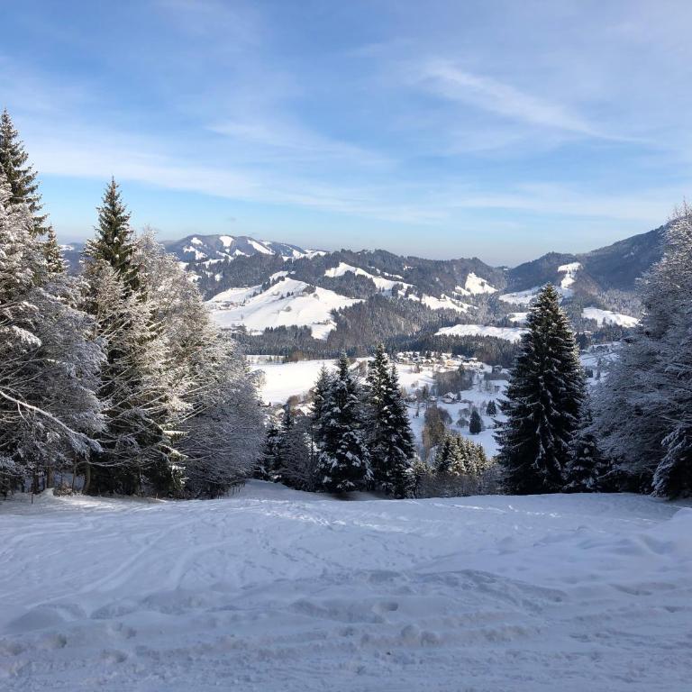 Ferienwohnung Steibis / Allgäu - Apartment - Erdgeschoss - 33