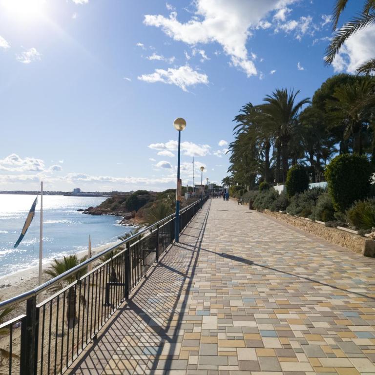 Oasis Beach 8 Top floor apartment in Torrevieja Punta Prima - Casa de 2 dormitorios - 22