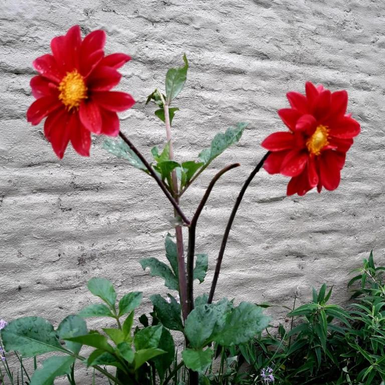 La Posadita Familiar - One-Bedroom Apartment - 28