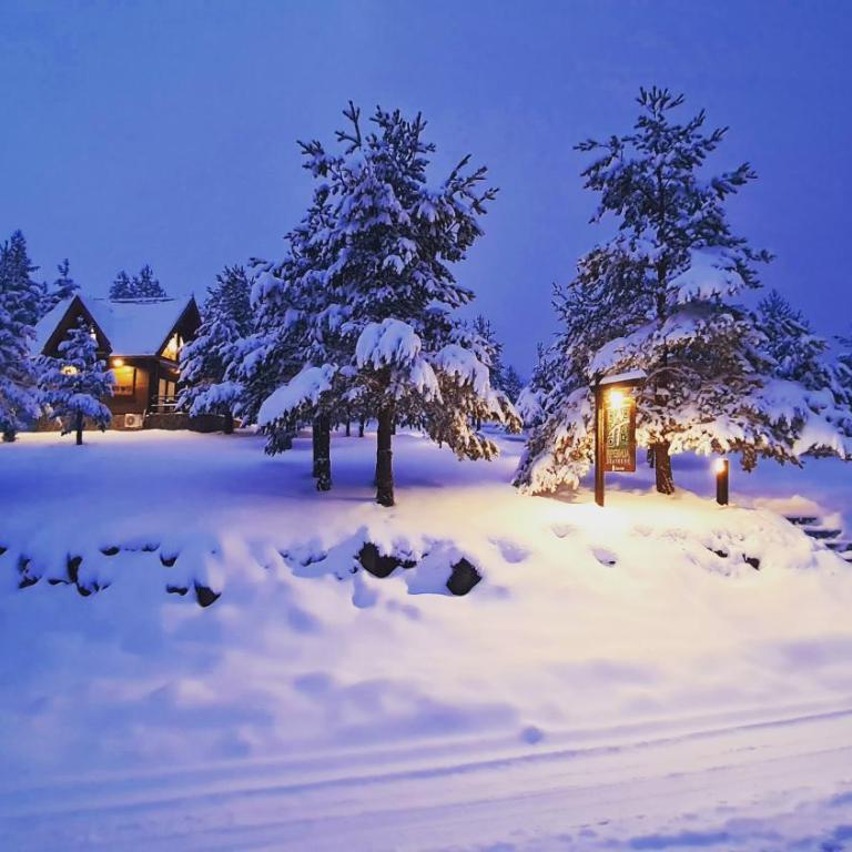 Previja Zlatibor Chalet - Brvnara sa 1 Spavaćom Sobom - 1