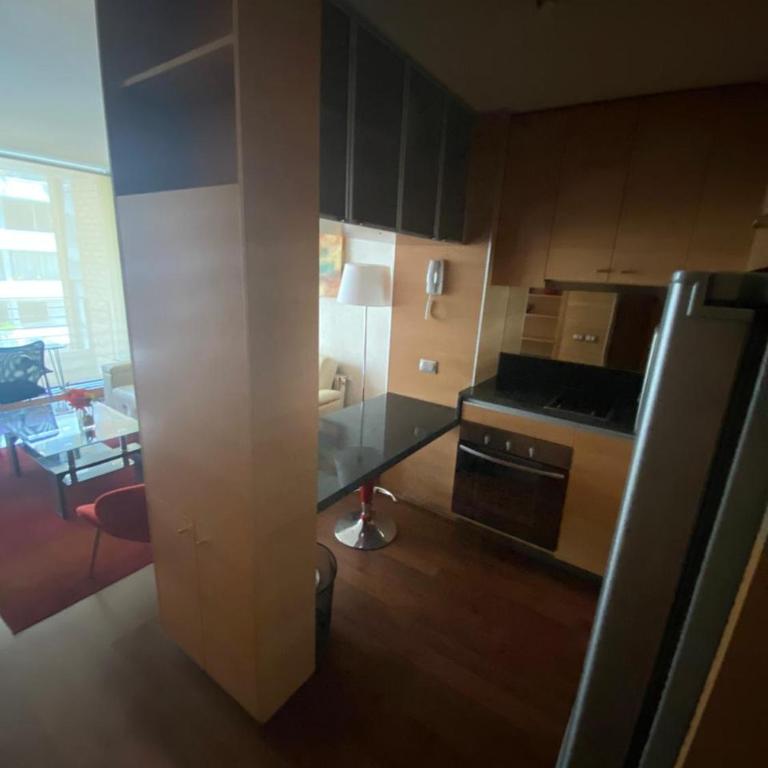 Departamento 2 ambientes mas terraza amoblada, Providencia - One-Bedroom Apartment - 8