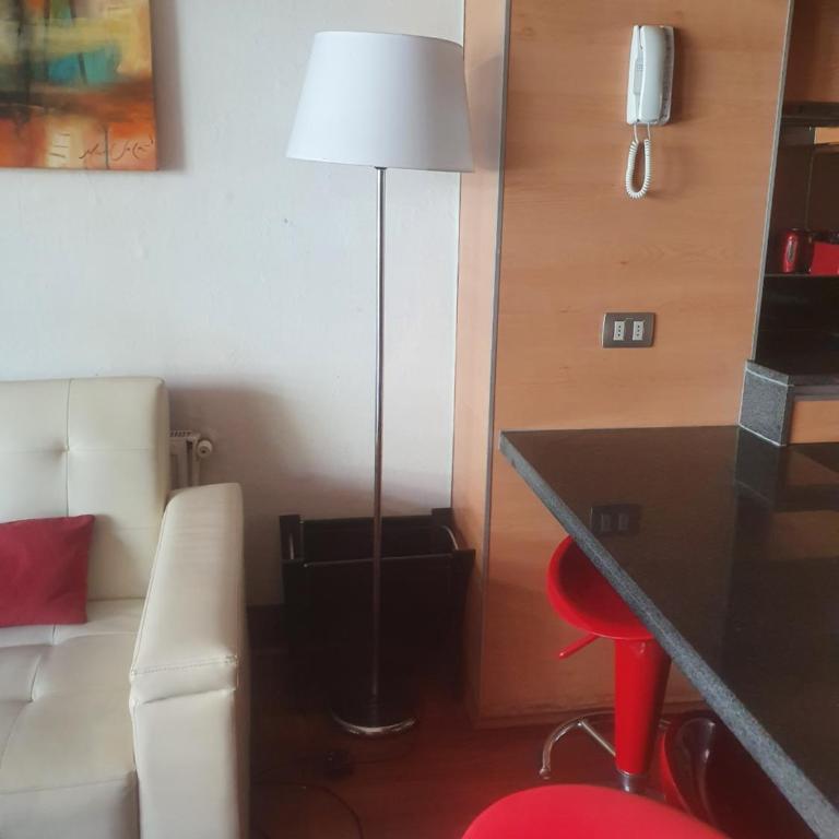Departamento 2 ambientes mas terraza amoblada, Providencia - One-Bedroom Apartment - 9