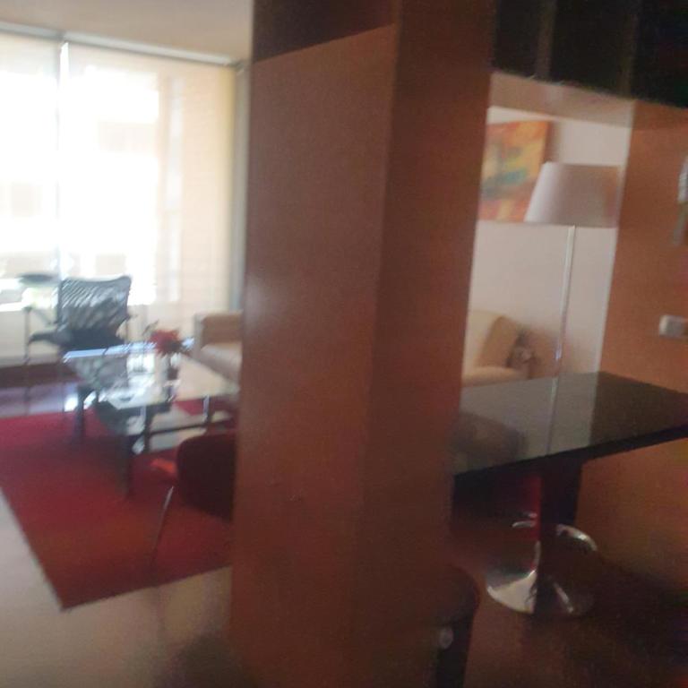 Departamento 2 ambientes mas terraza amoblada, Providencia - One-Bedroom Apartment - 12