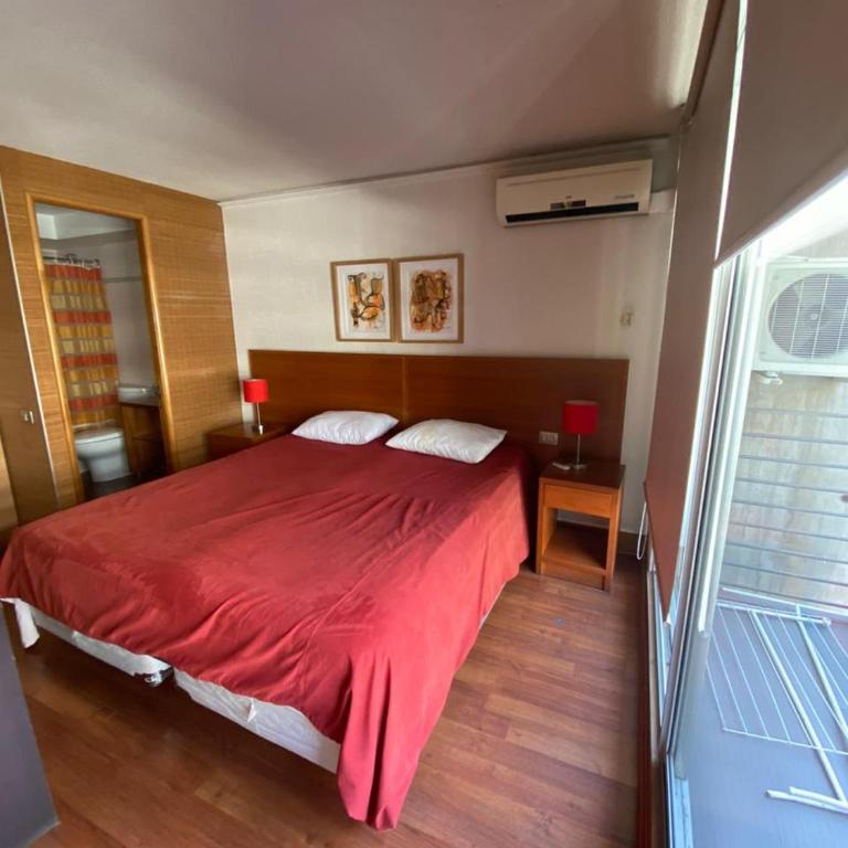 Departamento 2 ambientes mas terraza amoblada, Providencia - One-Bedroom Apartment - 21