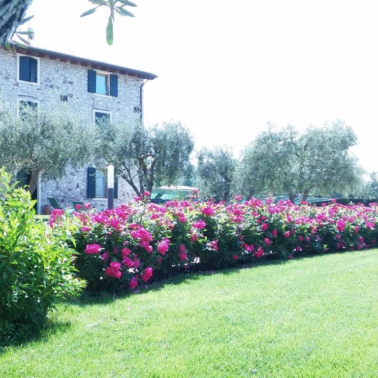 Agriturismo Le Ginestre - Appartamento con 1 Camera da Letto - 17