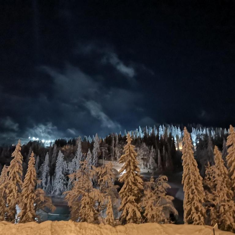 Jahorinska Vila - app SRCE JAHORINE - One-Bedroom Apartment - 7