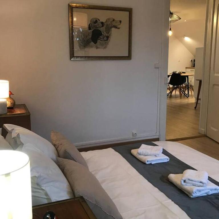 LE COTEAU - centre ville, jardin & parking! - Two-Bedroom Apartment - 10