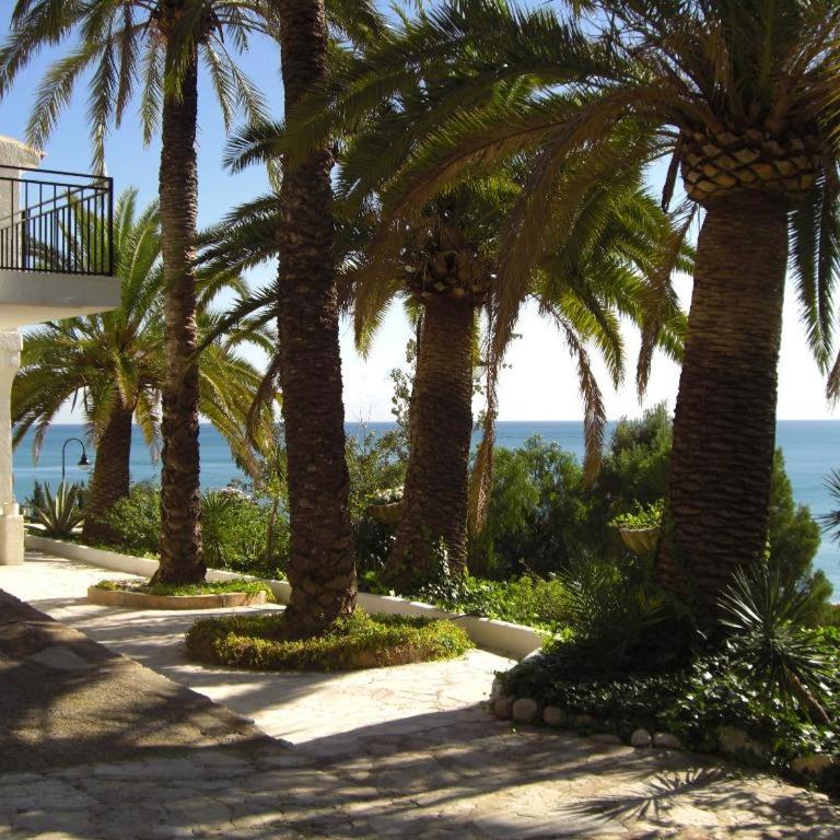 Campomanus - Villa - 36