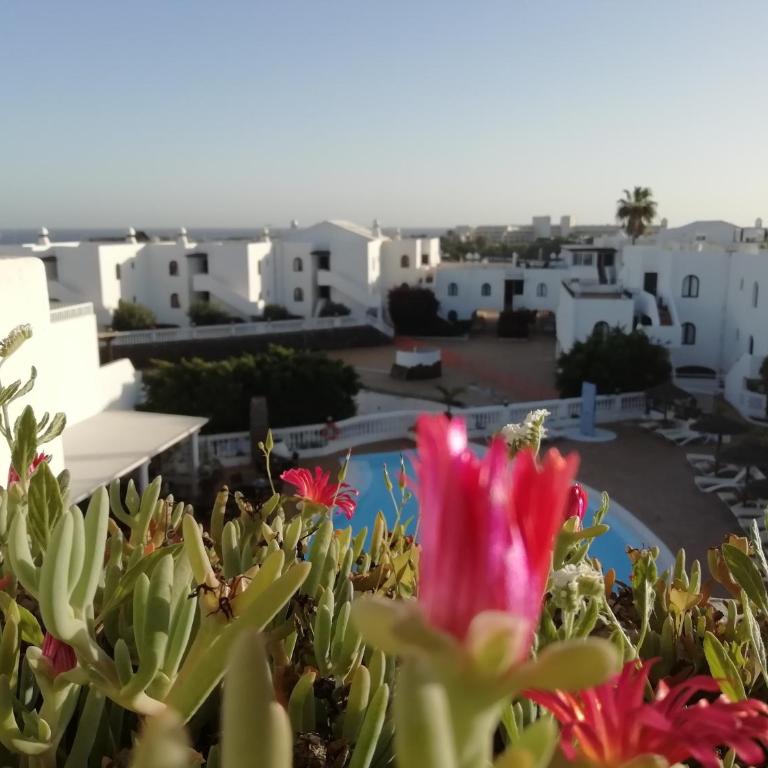 NEW Pools Wonderful Views AC - Deluxe Apartment - 11