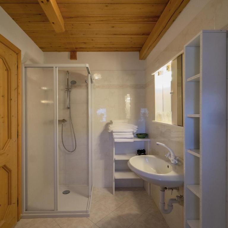 Alpino Lodge Bivio - Appartamento - 2