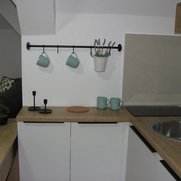 B&S Apartments - One-Bedroom Apartment - 12