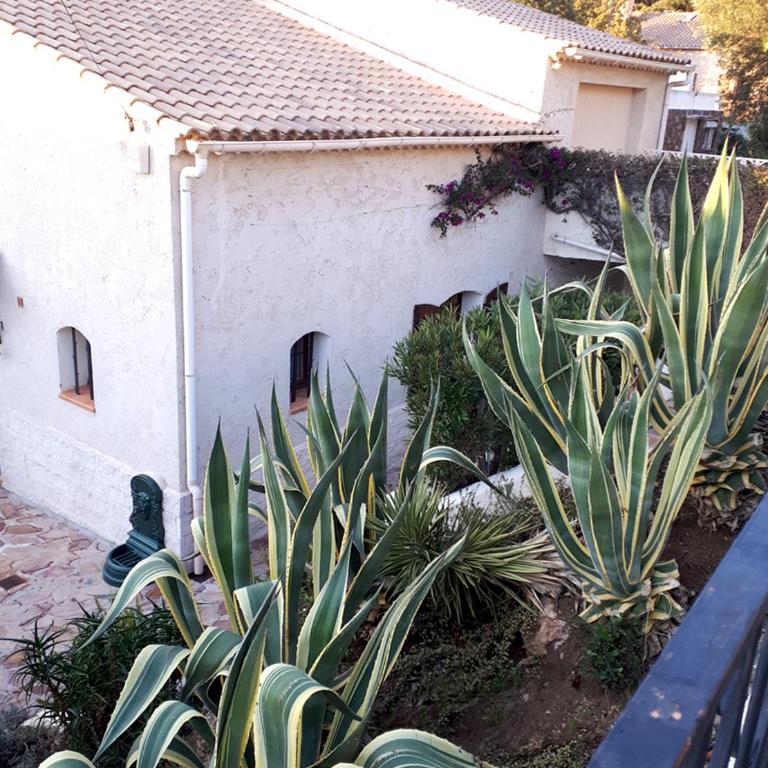 APPARTEMENTS DANS VILLA EN REZ DE JARDIN - Appartement - Vue sur Jardin - 1