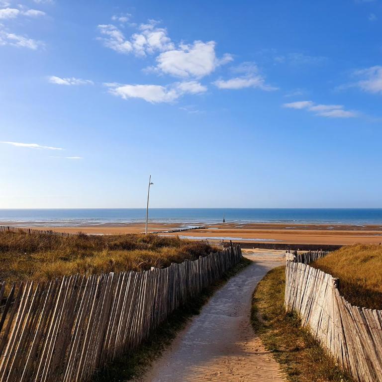 Résidence Front de mer Cabourg - Accès direct plage - One-Bedroom Apartment - 1