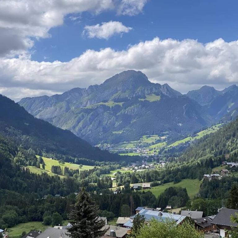 Les 360 - Apt 12 - BO Immobilier -Châtel Multipass 2026 Activités en Été en option à 4euros par jour et par personne - Appartement - 17