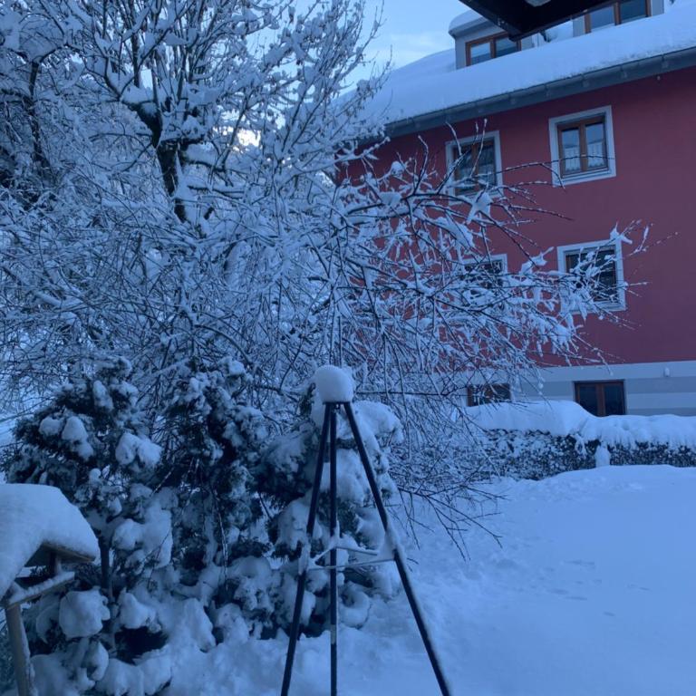 Ferienwohnung Fanny am See - Apartment mit 1 Schlafzimmer - 19