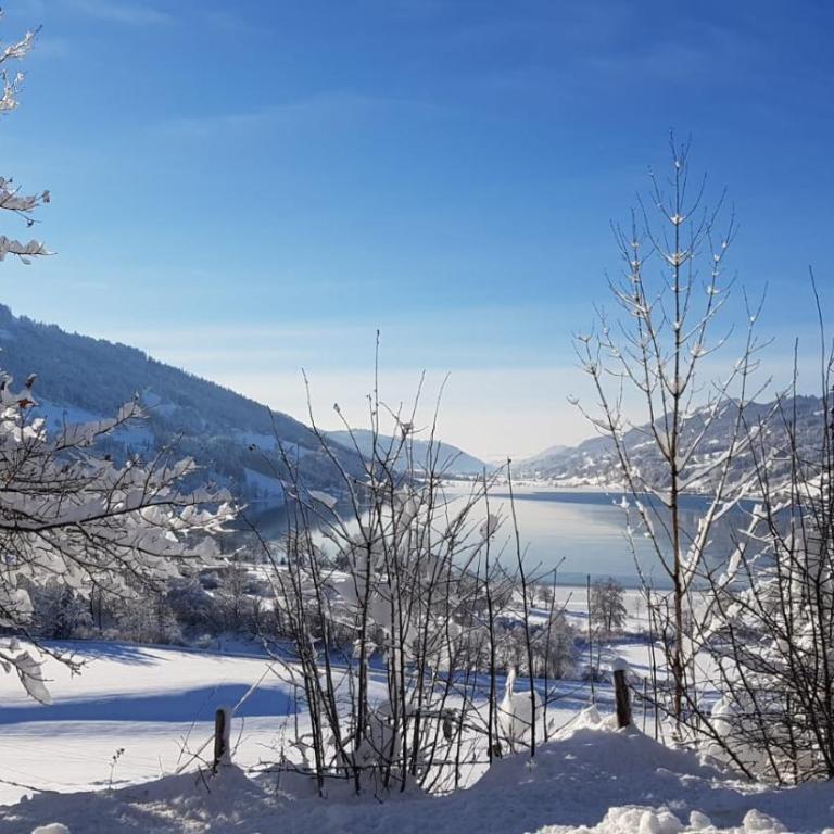Ferienwohnung Fanny am See - Apartment mit 1 Schlafzimmer - 18