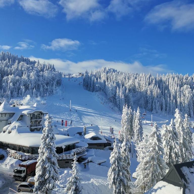 Winter Home Jahorina - One-Bedroom Apartment - 11