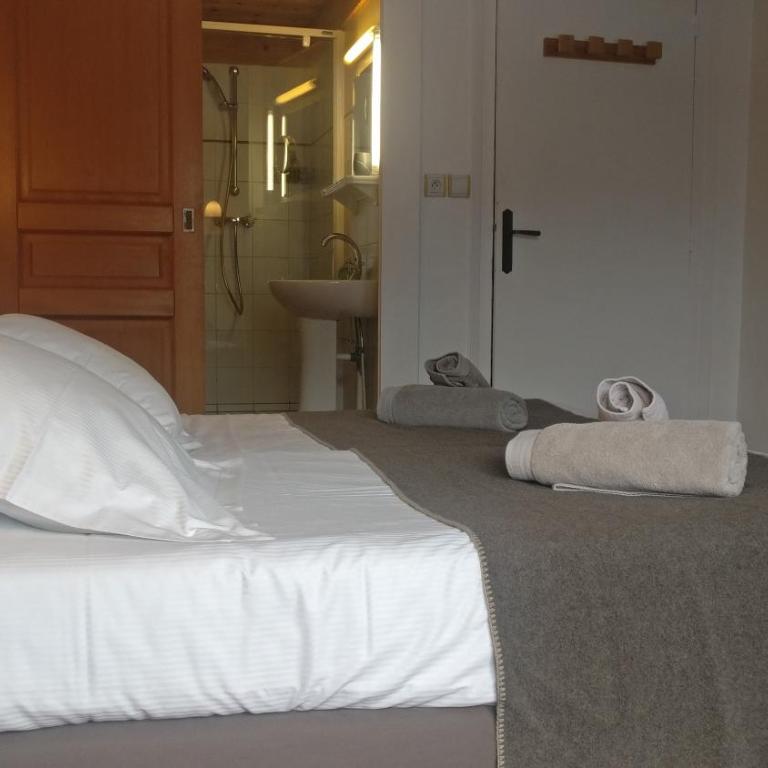 Hôtel Bellier - Economy Zweibettzimmer mit Dusche - 3