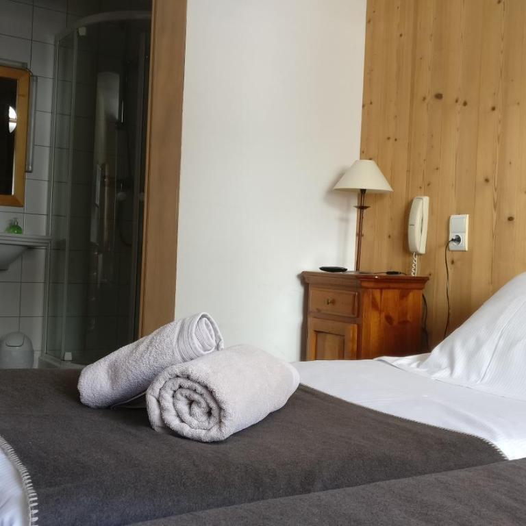 Hôtel Bellier - Economy Zweibettzimmer mit Dusche - 4