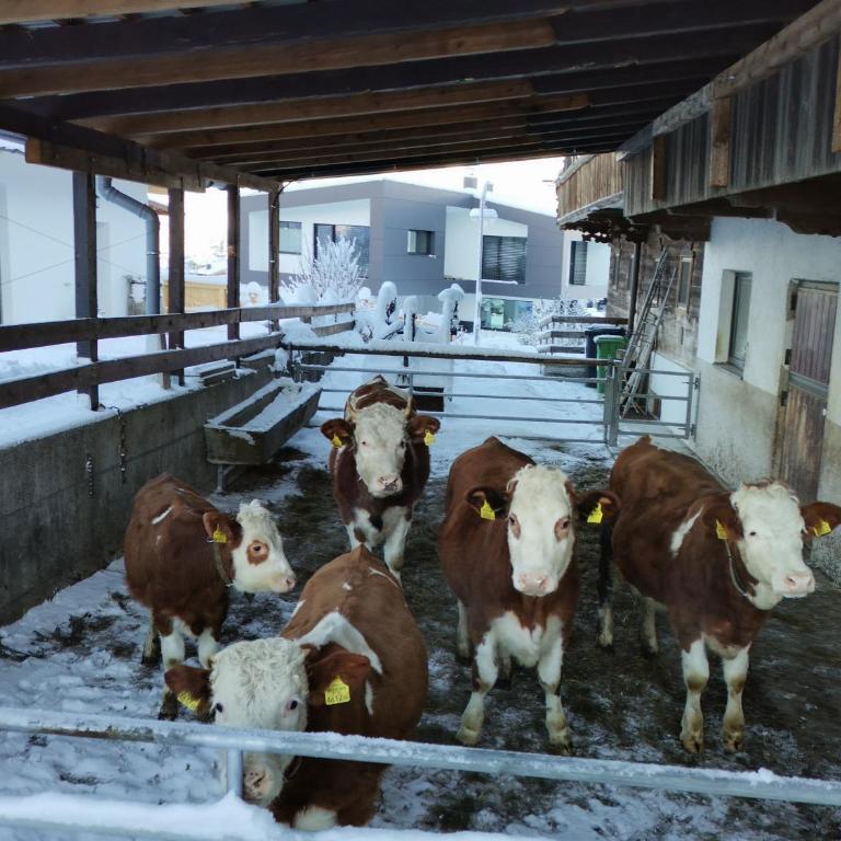 Ferienhaus Weberhof - Haus mit 4 Schlafzimmern - 43