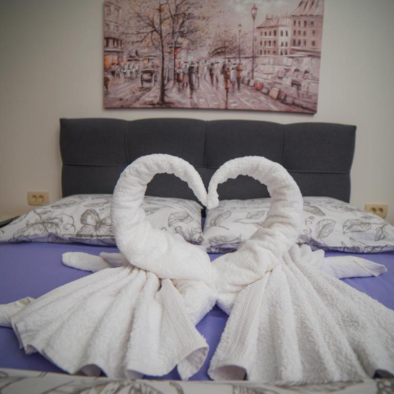 Apartman S13 Vila Pekovic - Apartman sa 2 Spavaće Sobe - 3