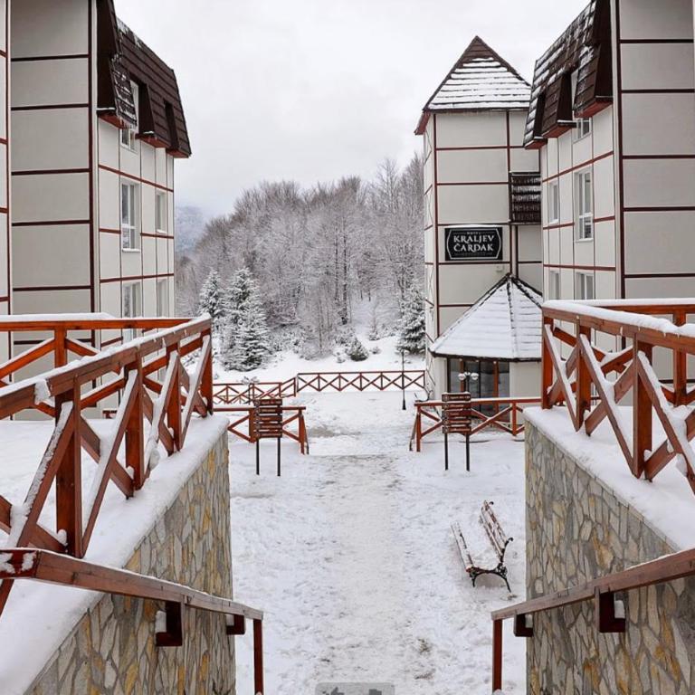 Apartman NERA - u Kraljevim čardacima Kopaonik - Deluks Studio Apartman sa Terasom - 11