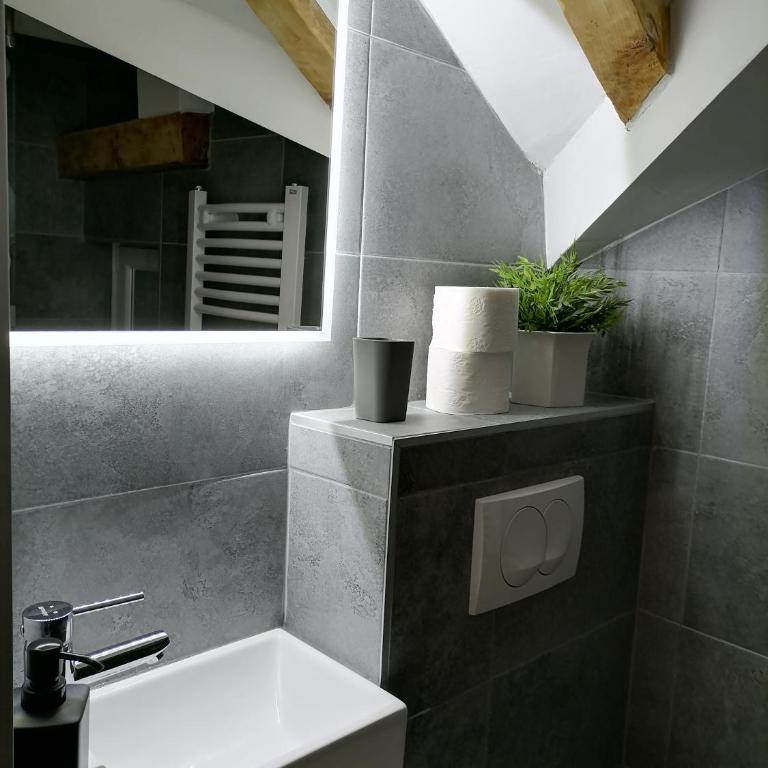 Central Sweet Home I.M. - Apartman sa 1 Spavaćom Sobom - 20