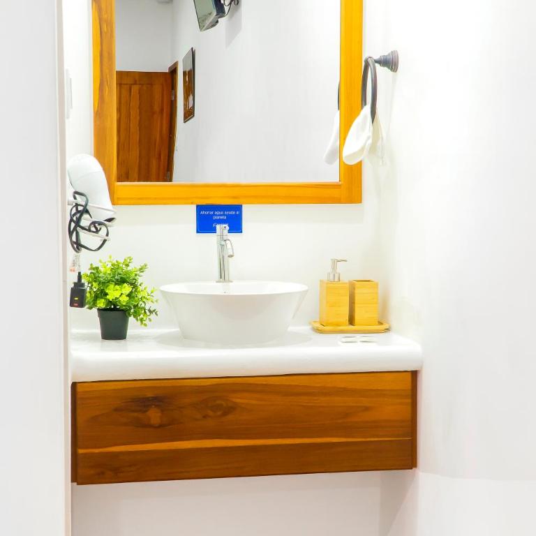 Hotel Boutique Platanal - Standard Apartment - 7